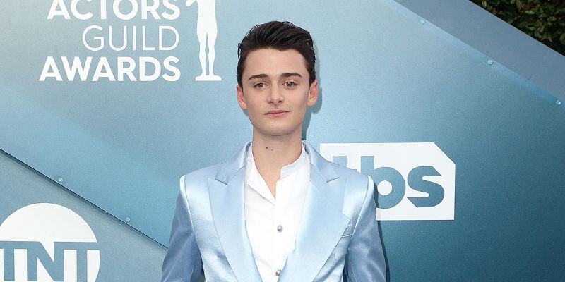 Seven Facts About Stranger Things' Noah Schnapp: His Career, Relationships, And Net Worth in 2020